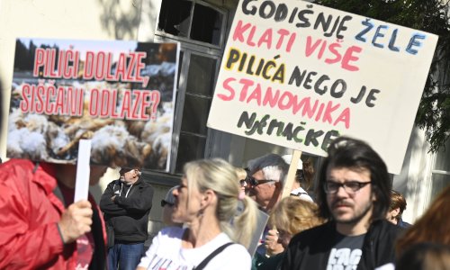 Sisak na nogama: Počeo prosvjed protiv megafarmi i klaonica pilića
