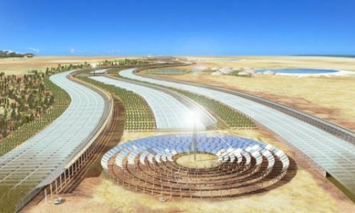 U pustinji uzgajaju povrće pomoću morske vode