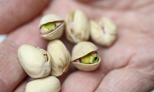 Globalni šok: Zbog rata u Iranu cijene ove namirnice lete u nebo