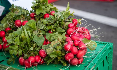 Državni inspektorat opozvao iz prodaje klice rotkvice: Došlo do bakterijske kontaminacije