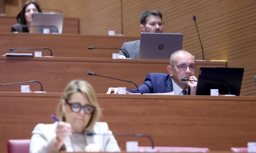 Od inflacije do položaja u BiH: Evo o čemu su zastupnici govorili u slobodnim govorima