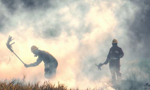 Iznadprosječna temperatura hara Europom: Oboreni rekordi i požarima i toplinskim valovima