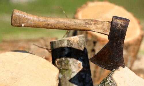 Pijan došao sa sjekirom na terasu: Razbijao stolove pred gostima