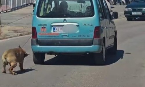 Policija reagirala nakon dojava: Uhićen vozač koji je vukao psa uz vozilo