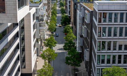 Urbana stabla važnija su za hlađenje gradova nego što se dosad mislilo