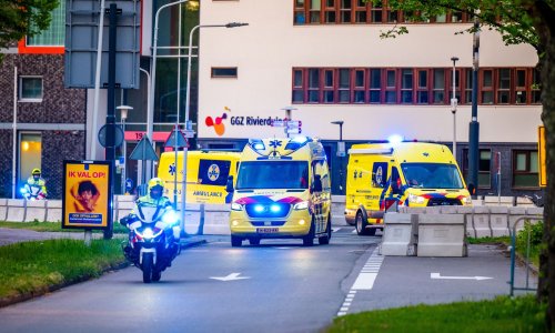 U tijeku je globalna utrka za stopiranje hantavirusa: Gdje bi sljedeće mogao udariti?