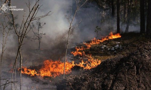 VIDEO Veliki požar hara zonom Černobila: Vatrogasci vode utrku s vremenom