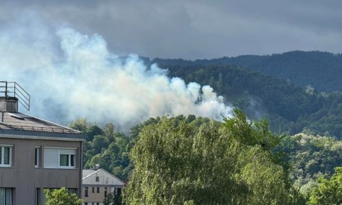 Veliki požar u susjedstvu: Vatra zahvatila šumu oko dvorca, dio stanovnika nema struje