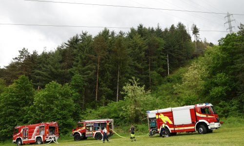 Veliki požar u susjedstvu: Vatra zahvatila šumu oko dvorca, dio stanovnika nema struje