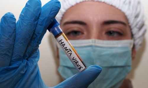 Hantavirus nije novi covid, ali istraživači vide zabrinjavajuću sličnost