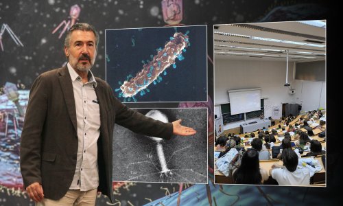 Kad antibiotici prestanu djelovati: Hrvatski znanstvenik objašnjava kako nas virusi mogu spasiti od bakterija
