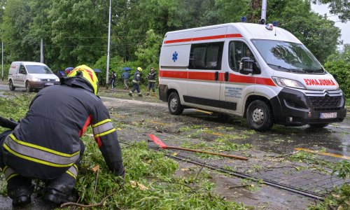 Kaos nakon oluje u Zagrebu: Padala stabla, letjeli krovovi, ozlijeđena jedna osoba