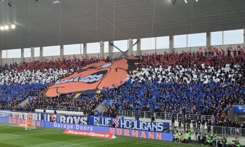 Boysi zauzeli Kohortin sektor, pogledajte koreografiju Dinamovih navijača
