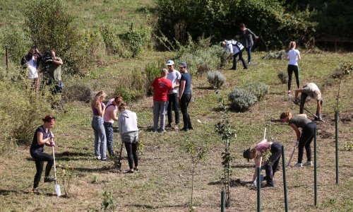 Hrvatska uvodi nove mjere za otvoreniju vlast, prvi put uključeni klima i okoliš