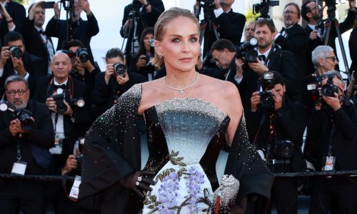 Cannes zabranio raskošne haljine, a Sharon Stone pronašla je elegantno rješenje