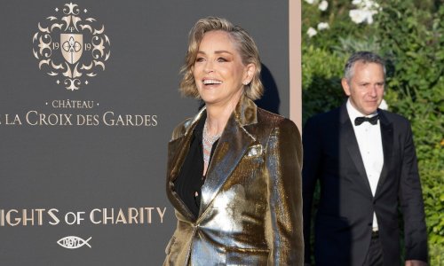 Nije mogla proći nezapaženo: Sharon Stone zabljesnula u zlatnom odijelu
