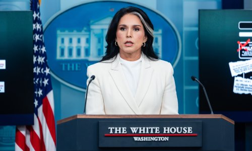 Bijela kuća okrenula leđa Tulsi Gabbard? Reuters otkriva pozadinu dramatične ostavke