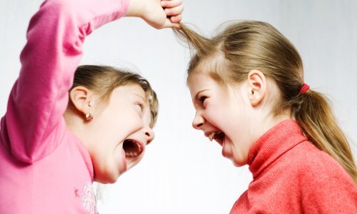 Koliko se razlikuje osobnost mlađe i starije braće i sestara