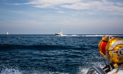 Mreža koja nadgleda svjetske oceane je u problemima: Njen gubitak mogao bi imati katastrofalne posljedice