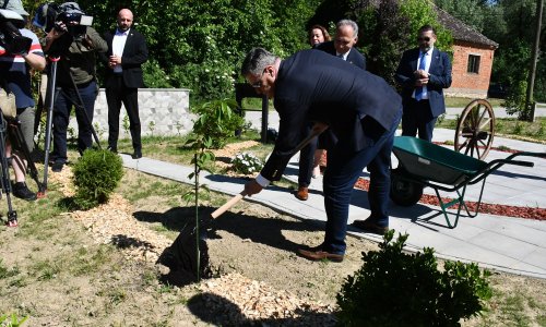 FOTO Milanović zasadio Stablo mira