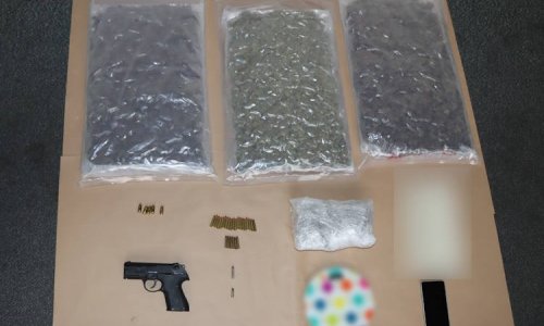 U stanu u Dubravi skrivao 3,6 kilograma marihuane i pištolj