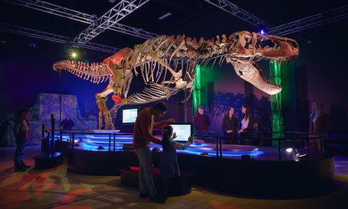Misterij T-rexovih ruku: Znanstvenici otkrili zašto su strašni predatori žrtvovali udove zbog moćne glave