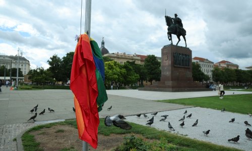 Zasmetale joj zastave duginih boja pa ih je odlučila sama ukloniti