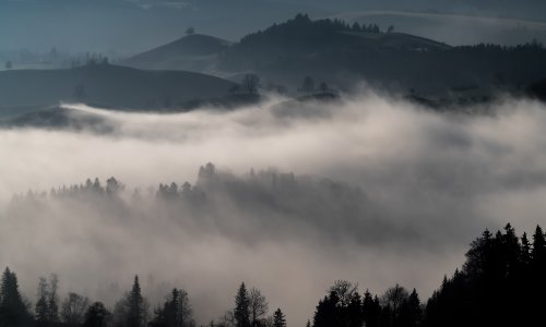 Fascinantan ekosustav: Magla nije samo smetnja ili dosada. O