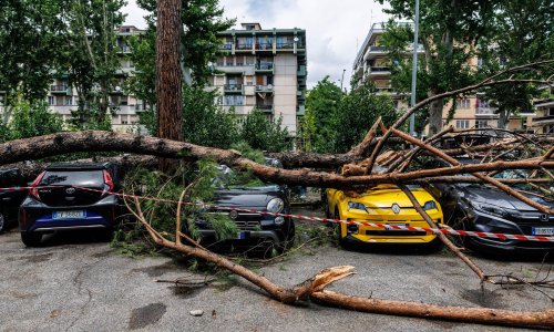 (VIDEO) Pijavica poharala Rim: Vječni grad pod vodom, blokiran promet, stabla posvuda