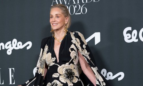 Modni maksimalizam u režiji Sharon Stone: Sve je očarala haljinom, ali i ovim cipelama