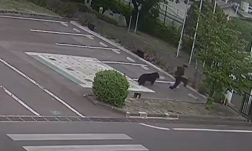 Medvjed napao ljude, sam odvrnuo slavinu da popije vode pa pobjegao kroz prozor tvornice!