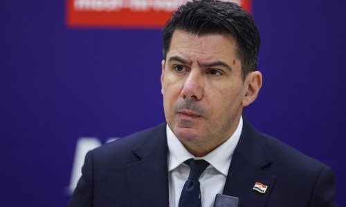 Grmoja protiv izgradnje vjetroelektrane: 'Od toga nema velike koristi'