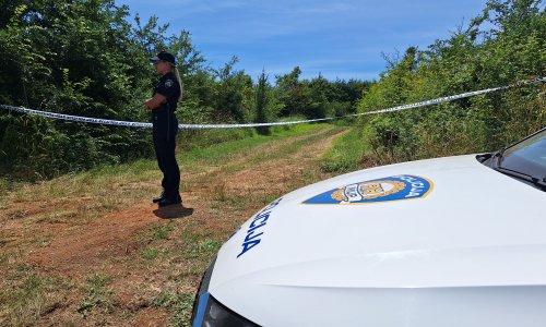Manji avion pao u Istri, hitne službe na terenu