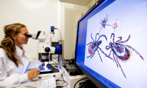 U našem susjedstvu otkriven novi virus: Pronađeni tragovi infekcije kod ljudi