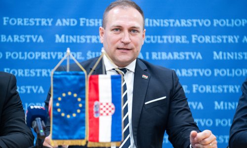 Vlajčić: Ne treba dramatizirati, o deklaraciji će se raspravljati na koaliciji