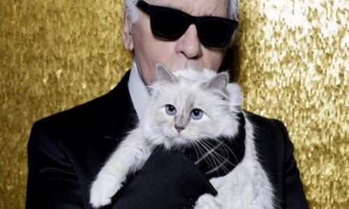 'Choupette je poput šik dame s osobnom sluškinjom'