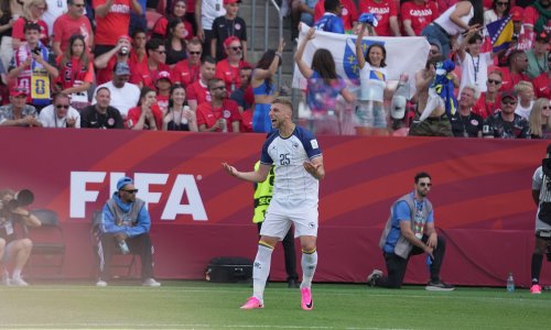 Zabio je večeras gol za BiH na SP-u, a Dinamo ga je želio dovesti