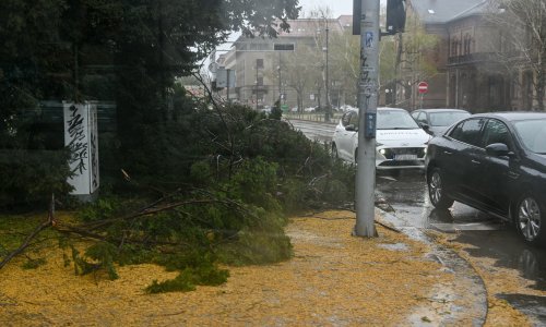 Zagrepčanima stiže novac za štetu od oluje: Odobreno više od 400 zahtjeva, a isplatit će se više od 200 tisuća eura