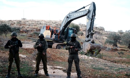 'Made in Israel': Voće i povrće iz okupiranih naselja šalju u Europu i prodaju kao izraelsko