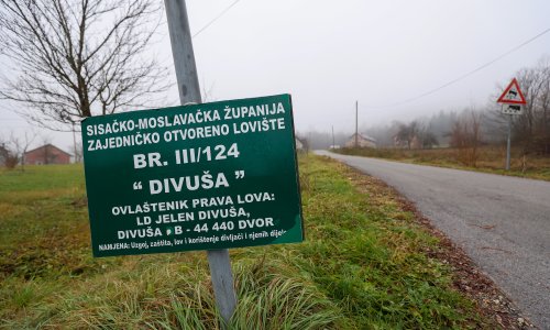 Domaći će imati prednost: Ovo su predložene promjene Zakona o lovstvu