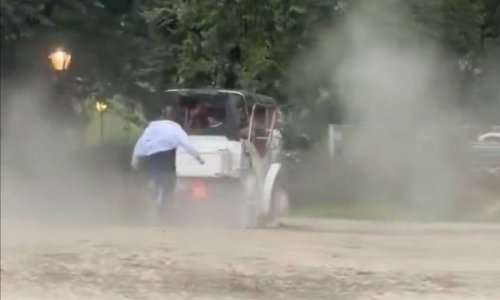 Konj se oteo i pojurio parkom: Mladi turist ispao iz kočije i poginuo