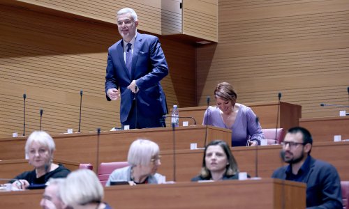 Oporba žestoko po DP-ovoj rezoluciji: Napravili su čudo – pretvorili su viski u kamilicu!