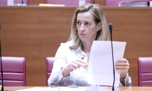 Ahmetović o slučaju švicarac: Zaštitili bi građane kao 2015. godine