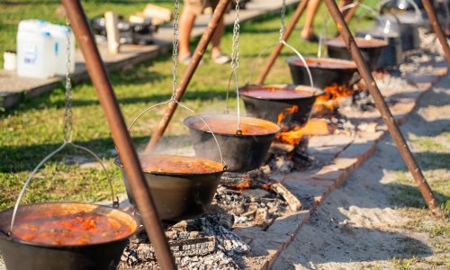 Dunav fest vraća Vukovar na rijeku: tri dana bogatog programa, vrhunac Fišijada
