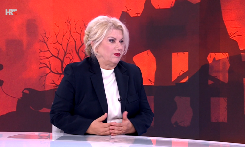 Škare Ožbolt o inicijativi DP-a: ‘Pucali su cijeloj državi u petu'