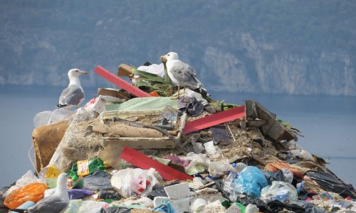 Vis se muči s otpadom: Ako se ovo ne riješi budućim generacijama ostavljamo karcinome