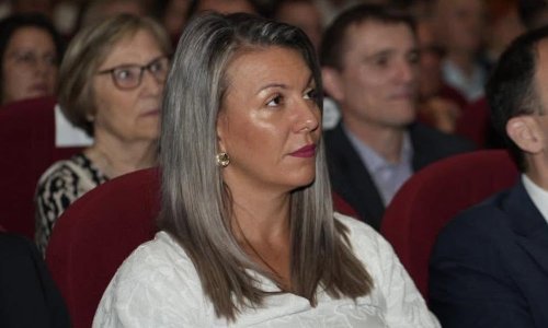 Dogradonačelnica Vinkovaca napustila HDZ: Trpjela sam pritiske i šutjela, ali više neću biti dio tog sustava