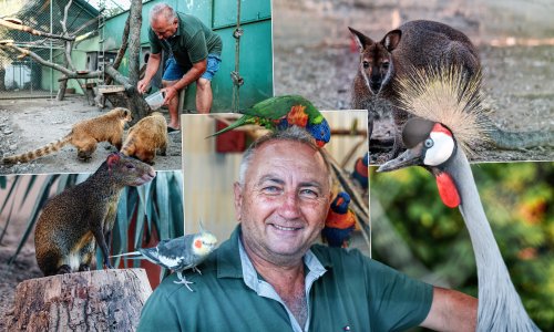 'Slavonski Dr. Dolittle' spasio je stotine životinja, od orlova do tigrova: 'Najteže ih je pustiti natrag u prirodu'