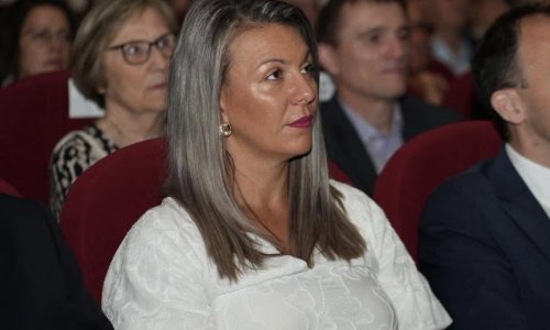 Dogradonačelnica Vinkovaca napustila HDZ, javila se stranka: 'Snaga nije u pojedincima'