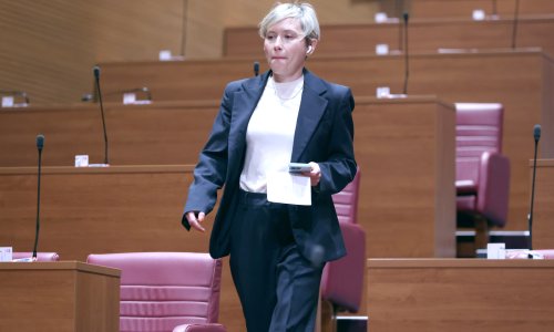 Nakon odbijenice Vlade, Sabor raspravlja o istražnom povjerenstvu za Medikol